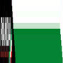 Panda Sport Wear CC