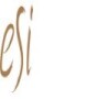 ESI Attornies