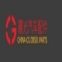 China CG Diesel parts