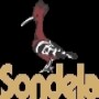 Sondela Fractional Ownership