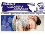 Famous Cleaning Services