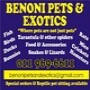 Benoni Pets & Exotics