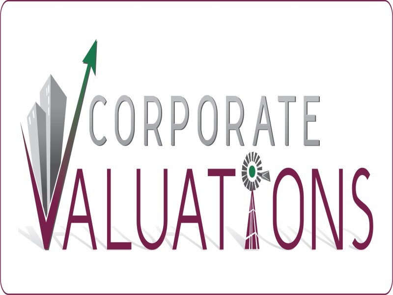 Corporate Valuations