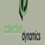 Collective Dynamics
