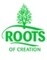 Our Web Site