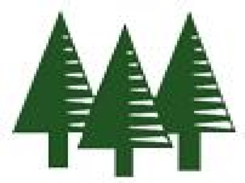 Pine Tree Lodge