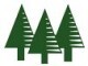 Pine Tree Lodge