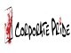 Corporate Pride