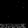 Studex