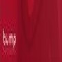 Bump Maternity