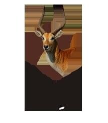 Lechwe Lodge