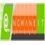 Ngwane It & Corporate Solutions