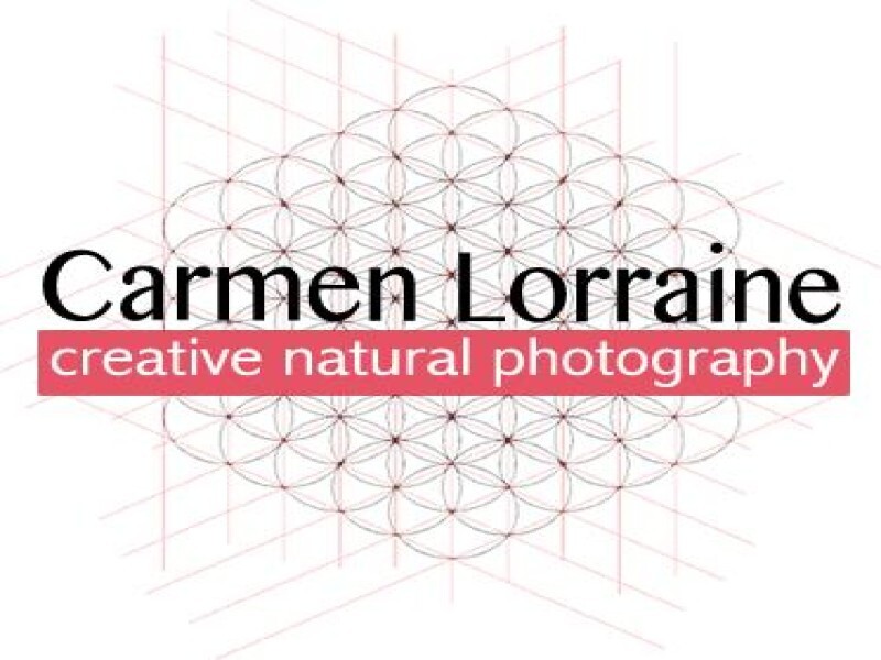 Carmen Lorraine Photography