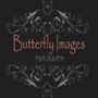Butterfly Images Photography