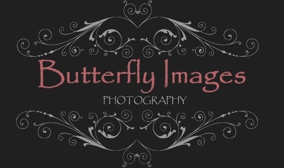 Butterfly Images Photography