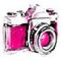 New Begginings Photography
