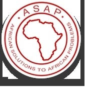 African Solutions To African Problems