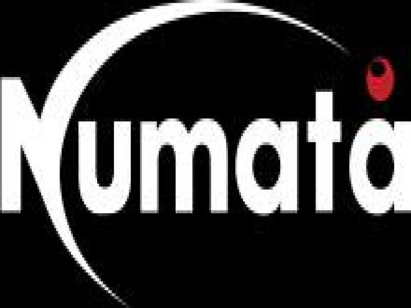 Numata Business It