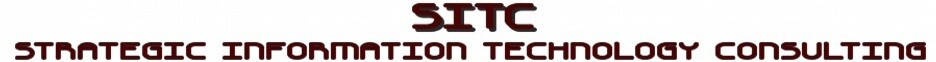 Strategic Information Technology Consulting
