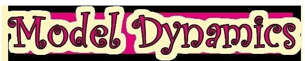 Model Dynamics Modeling School And Agency