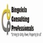 Bingelela Consulting Professionals