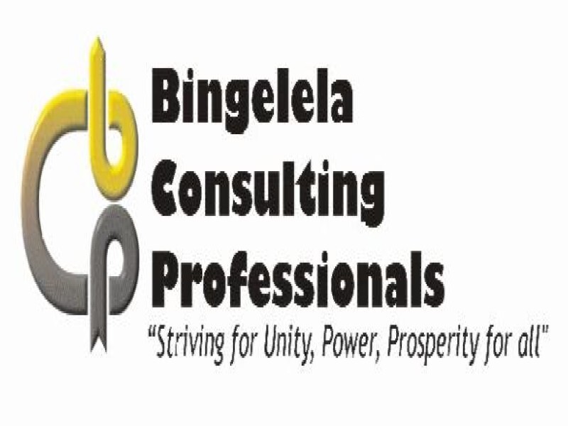 Bingelela Consulting Professionals