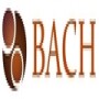 Bach Accountants And Management Consultants Cc