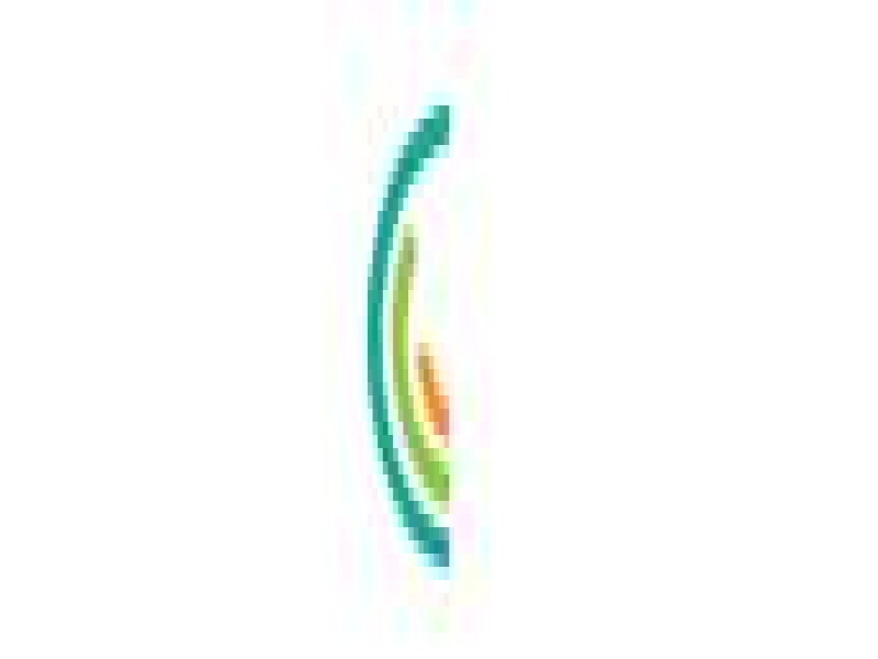 Business Dynamics Consultants