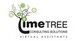 Lime Tree Consulting Solutions Cc