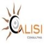 Calisi Consulting