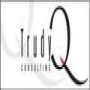 Trudyq Consulting