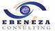 Ebeneza Consulting Services