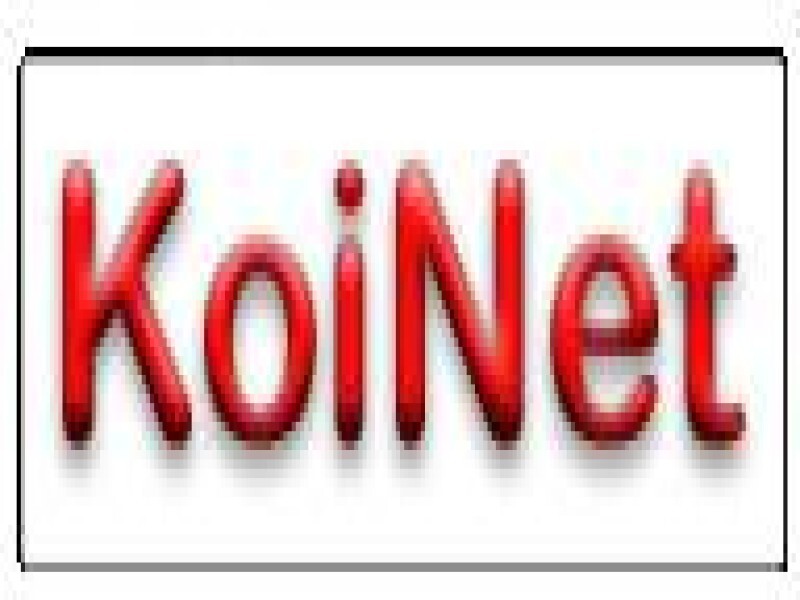 Koi Consulting