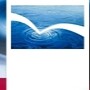 Rock Consulting