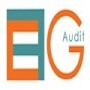 Efgaudit