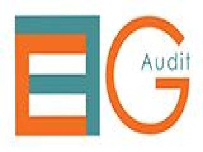 Efgaudit