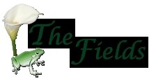 The Fields