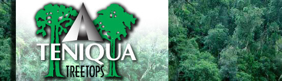 Teniqua Treetops