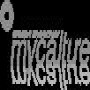 Dynamic Business Systems