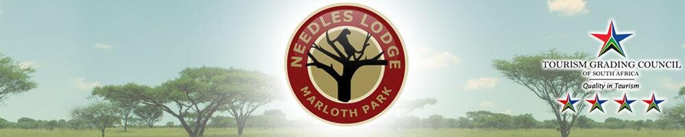 Needles Lodge