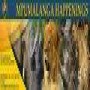 Mpumalanga Happenings