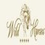 Wild Horses