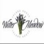 Water Meadow