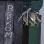 Bokkom.Co.Za