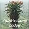 Chick'S Game Lodge