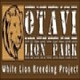 Otavi Lion Park