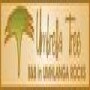 Umbrella Tree