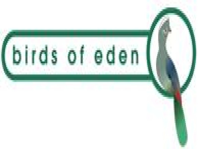 Birds Of Eden