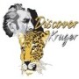 Discover Kruger
