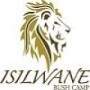 Isilwane